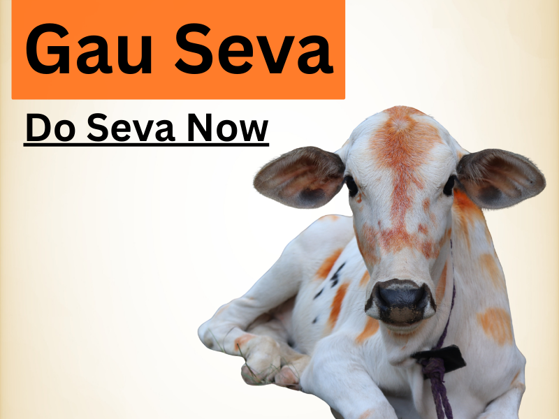 Gau Seva
